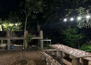 img 20260223 wa0020